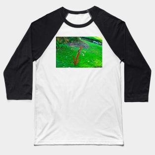 Dragon Fly in the garden in autumn Baseball T-Shirt